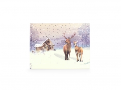 Sugar Free &amp; Gluten Free Advent Calendar Deer
